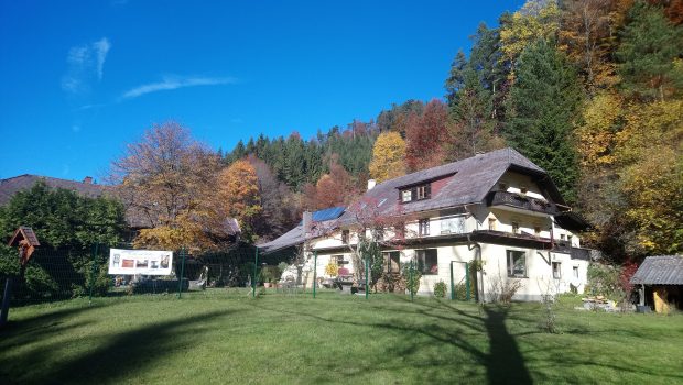 Hausansicht Beim Waldwirt